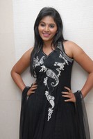Anjali Photo Gallery